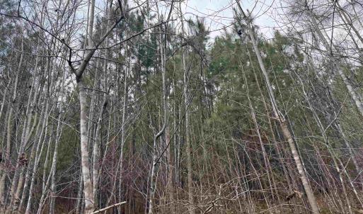 Photo #13 of TBD 2 HARDWARE RD, ARVONIA, VA 4.0 acres