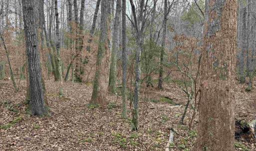 Photo #12 of TBD 2 HARDWARE RD, ARVONIA, VA 4.0 acres