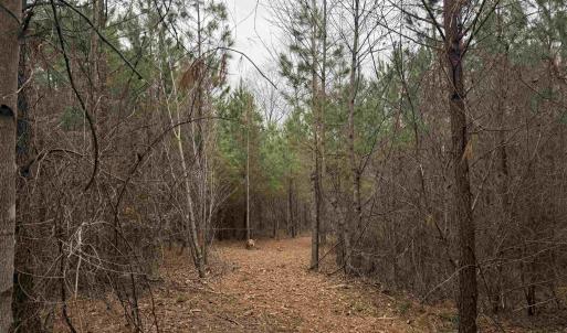 Photo #8 of TBD 2 HARDWARE RD, ARVONIA, VA 4.0 acres