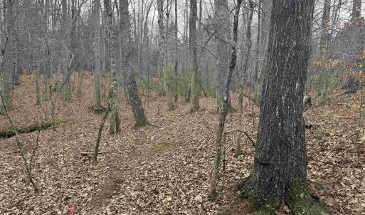 Photo #14 of TBD 2 HARDWARE RD, ARVONIA, VA 4.0 acres