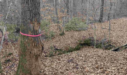Photo #16 of TBD 2 HARDWARE RD, ARVONIA, VA 4.0 acres