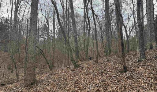 Photo #15 of TBD 2 HARDWARE RD, ARVONIA, VA 4.0 acres
