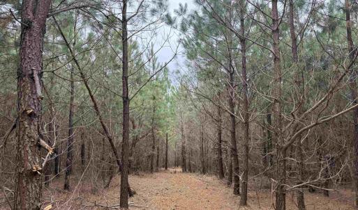 Photo #7 of TBD 2 HARDWARE RD, ARVONIA, VA 4.0 acres