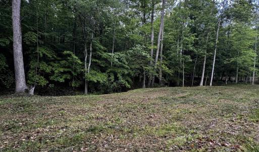 Photo #5 of FREDERICKSBURG RD, RUCKERSVILLE, VA 19.0 acres