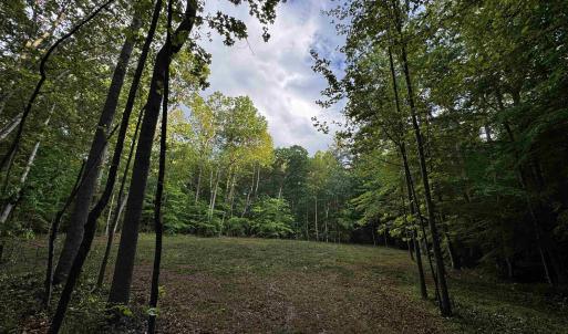 Photo #1 of FREDERICKSBURG RD, RUCKERSVILLE, VA 19.0 acres