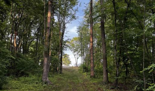 Photo #8 of FREDERICKSBURG RD, RUCKERSVILLE, VA 19.0 acres