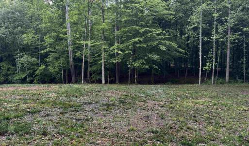 Photo #6 of FREDERICKSBURG RD, RUCKERSVILLE, VA 19.0 acres