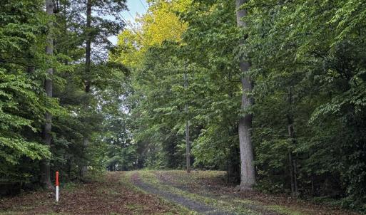 Photo #4 of FREDERICKSBURG RD, RUCKERSVILLE, VA 19.0 acres