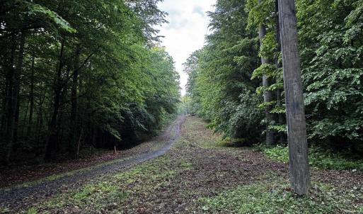 Photo #3 of FREDERICKSBURG RD, RUCKERSVILLE, VA 19.0 acres