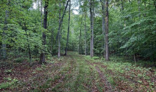 Photo #7 of FREDERICKSBURG RD, RUCKERSVILLE, VA 19.0 acres