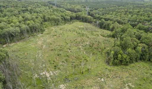 Photo #5 of CARYSBROOK RD, PALMYRA, VA 45.0 acres