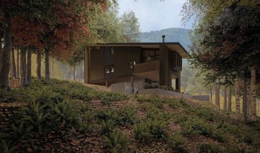 Photo #3 of TBD SPRUCE CREEK LN, NELLYSFORD, VA 3.9 acres
