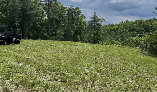 Photo #19 of 74 METHODIST CHURCH LN, WEST AUGUSTA, VA 23.8 acres