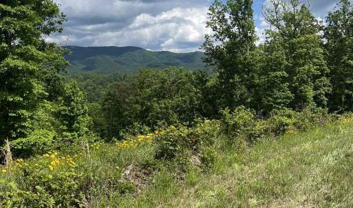 Photo #18 of 74 METHODIST CHURCH LN, WEST AUGUSTA, VA 23.8 acres