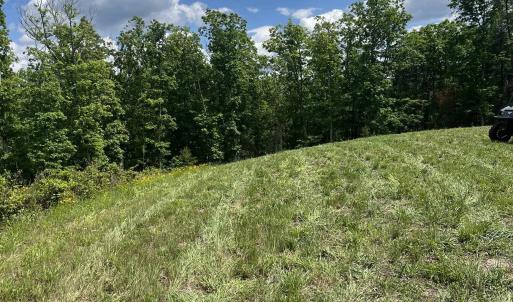 Photo #17 of 74 METHODIST CHURCH LN, WEST AUGUSTA, VA 23.8 acres