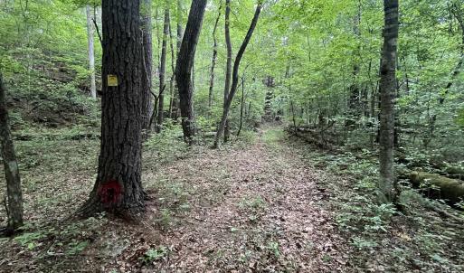 Photo #22 of 74 METHODIST CHURCH LN, WEST AUGUSTA, VA 23.8 acres