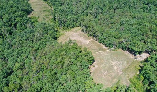 Photo #11 of 74 METHODIST CHURCH LN, WEST AUGUSTA, VA 23.8 acres