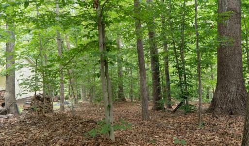 Mature trees around the property.