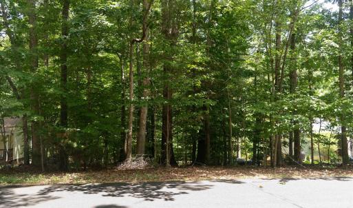 Welcome to 0 Bolling Circle, a .34 acre plot of land ready for your Lake Monticello home!