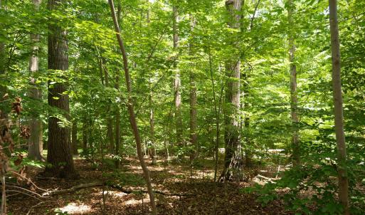 Perfect for creating a lake getaway or year-round lake living.