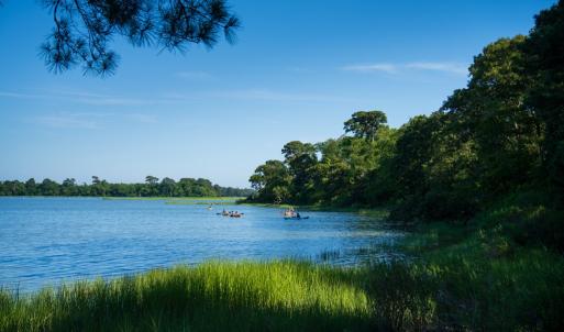 Photo #4 of 16 KINGS CT, CAPE CHARLES, VA 0.2 acres