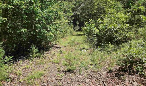 Photo #1 of MANTEO RD, BUCKINGHAM, VA 15.0 acres