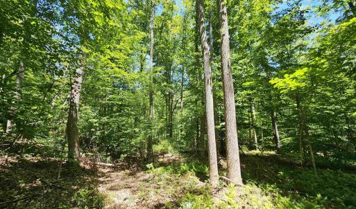 Photo #3 of MANTEO RD, BUCKINGHAM, VA 15.0 acres