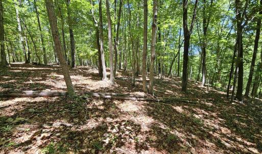 Photo #13 of MANTEO RD, BUCKINGHAM, VA 15.0 acres