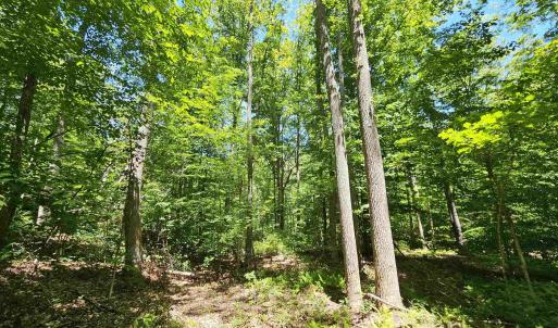Photo #4 of MANTEO RD, BUCKINGHAM, VA 15.0 acres