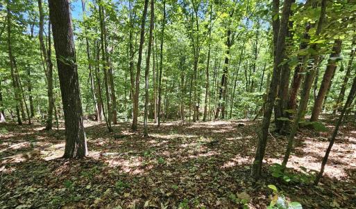 Photo #14 of MANTEO RD, BUCKINGHAM, VA 15.0 acres