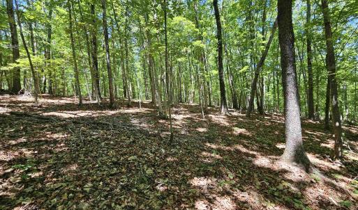 Photo #15 of MANTEO RD, BUCKINGHAM, VA 15.0 acres