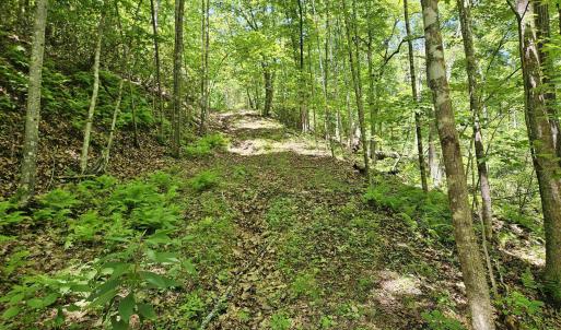 Photo #18 of MANTEO RD, BUCKINGHAM, VA 15.0 acres