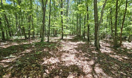 Photo #17 of MANTEO RD, BUCKINGHAM, VA 15.0 acres