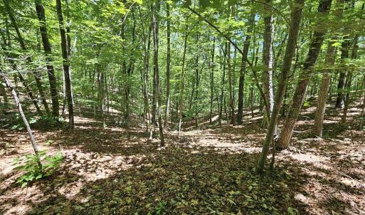 Photo #16 of MANTEO RD, BUCKINGHAM, VA 15.0 acres