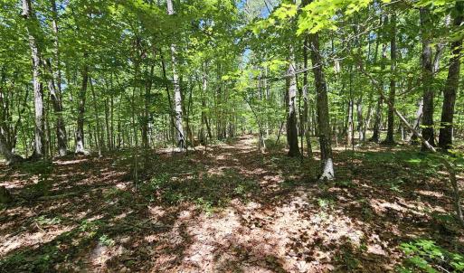 Photo #12 of MANTEO RD, BUCKINGHAM, VA 15.0 acres