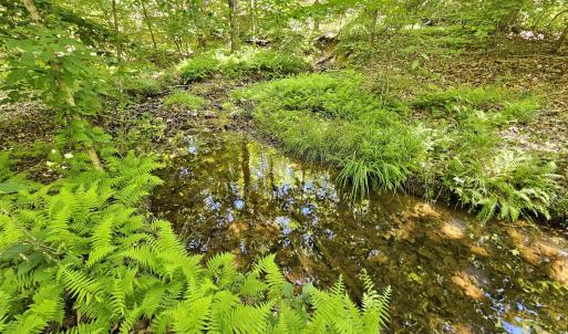 Photo #6 of MANTEO RD, BUCKINGHAM, VA 15.0 acres
