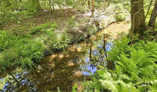 Photo #7 of MANTEO RD, BUCKINGHAM, VA 15.0 acres