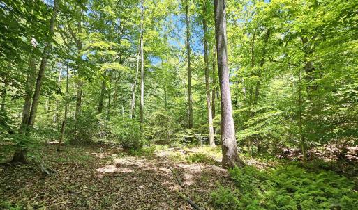 Photo #8 of MANTEO RD, BUCKINGHAM, VA 15.0 acres