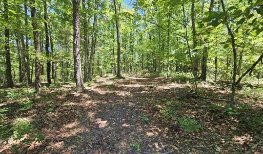 Photo #10 of MANTEO RD, BUCKINGHAM, VA 15.0 acres