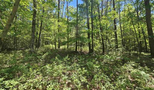 Photo #9 of MANTEO RD, BUCKINGHAM, VA 15.0 acres