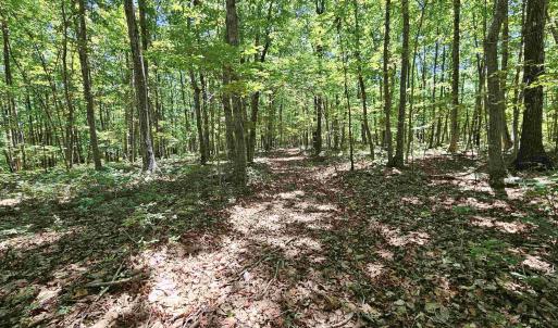 Photo #11 of MANTEO RD, BUCKINGHAM, VA 15.0 acres
