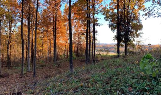 Photo #8 of 48-13o,13v&13u COURTHOUSE MOUNTAIN RD, MADISON, VA 10.6 acres