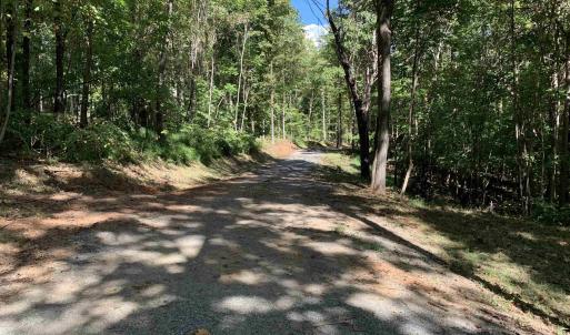 Photo #3 of 48-13o,13v&13u COURTHOUSE MOUNTAIN RD, MADISON, VA 10.6 acres