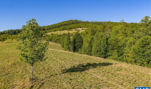 Photo #28 of 695 LAUREL RD, FABER, VA 58.6 acres