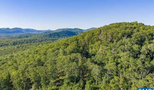 Photo #34 of 695 LAUREL RD, FABER, VA 58.6 acres