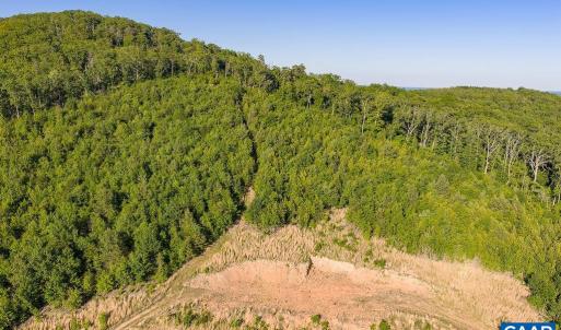 Photo #53 of 695 LAUREL RD, FABER, VA 58.6 acres