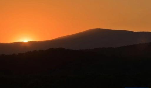 Photo #14 of 695 LAUREL RD, FABER, VA 58.6 acres