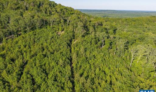 Photo #32 of 695 LAUREL RD, FABER, VA 58.6 acres