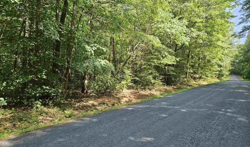 Photo #2 of 9Ac CHILDRESS RD, DILLWYN, VA 9.0 acres