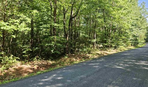 Photo #4 of 9Ac CHILDRESS RD, DILLWYN, VA 9.0 acres